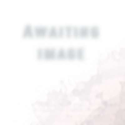 460>_2399230
